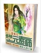 重生之最强元素师